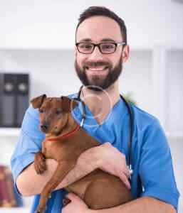 Refund And Returns Policy – Cutepets Uae 2025