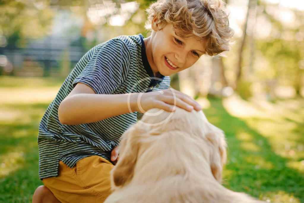 Buy How Can I Stop My Cat From Waking Me Up At Night? In Uae - Cutepets.ae