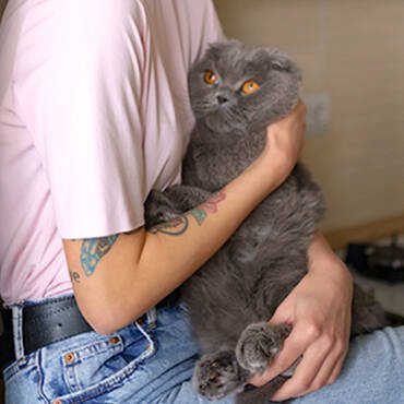 Buy Contacts In Uae - Cutepets.ae