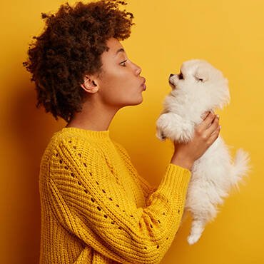 Buy Contacts In Uae - Cutepets.ae