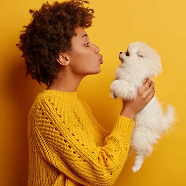 Buy Home In Uae - Cutepets.ae
